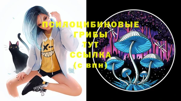 соль курить ск Бугульма